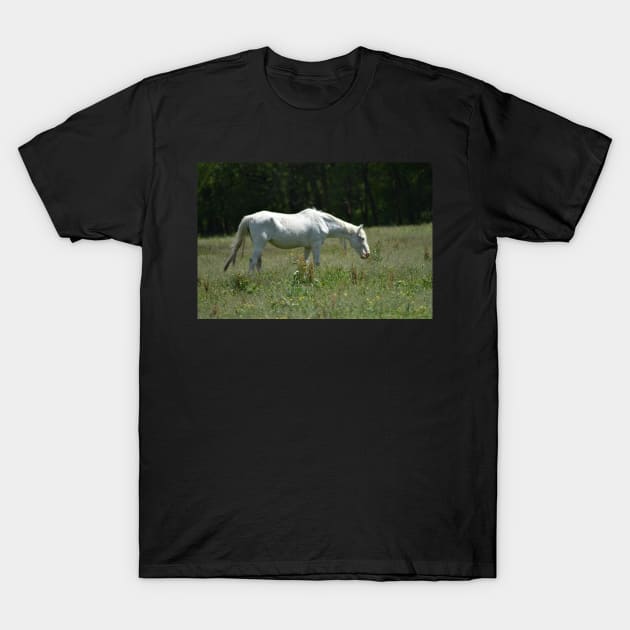 Wild Horse T-Shirt by MarieDarcy